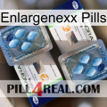 Enlargenexx Pills viagra5